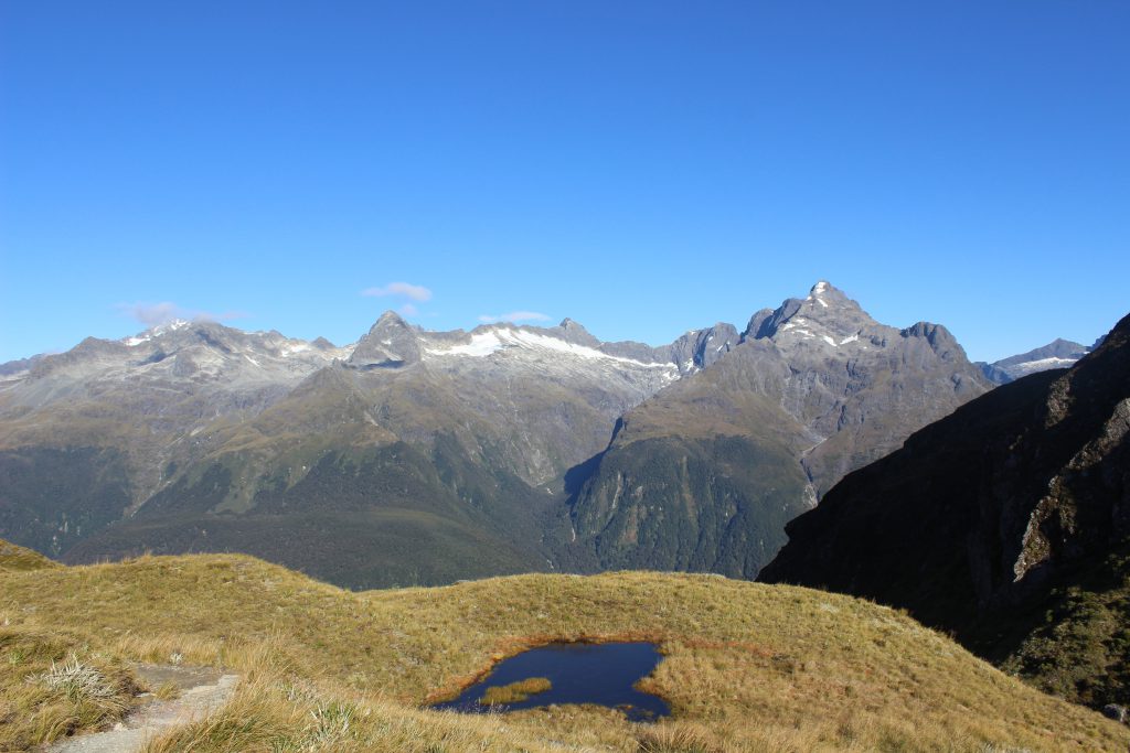 Routeburn Track- Concial Hill